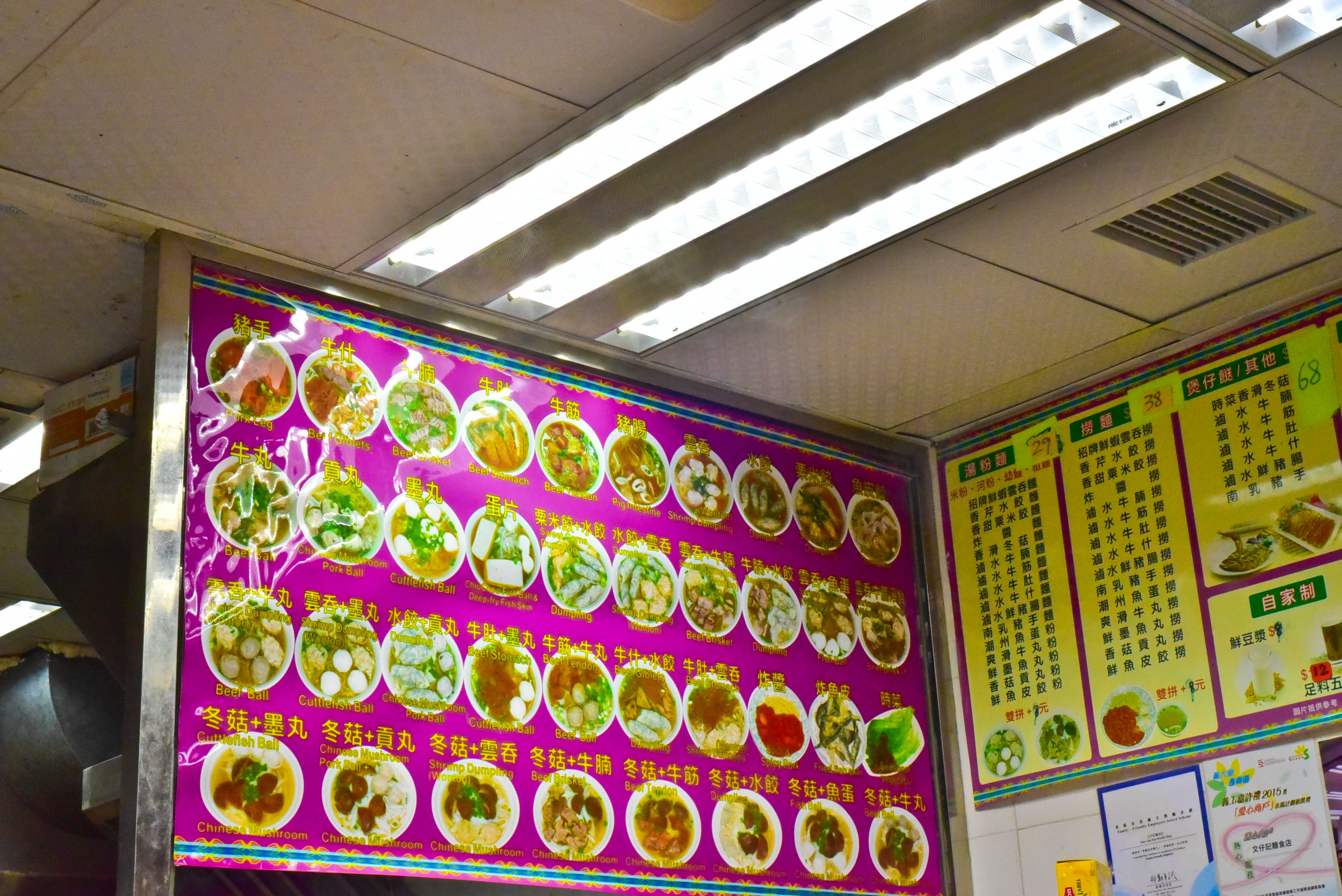 兔子游日本,兔子海边旅行记