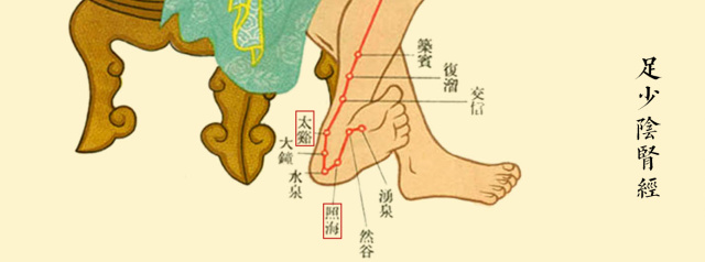 字里藏医全集完整版,字里藏医txt免费下载