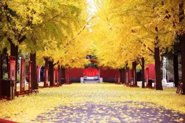 中山公园一进门是什么,中山公园怎么静悄悄的