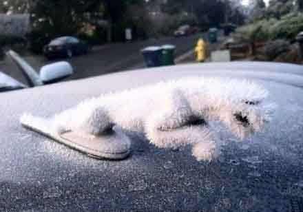 车在囧途︱车速300码时听什么歌最带劲？急！在线等