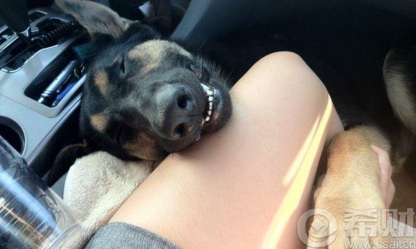 篮球野球场的各类奇葩,盘点野球场五大怪