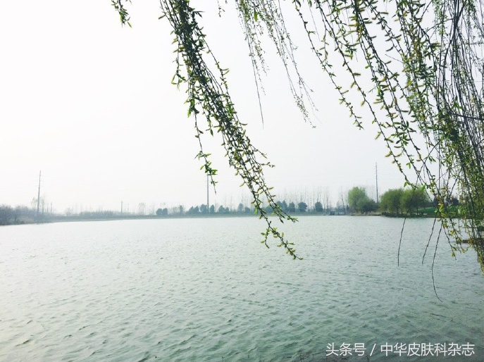 尖锐性湿疣怎么避免复发,尖锐性湿疣如果复发怎么办