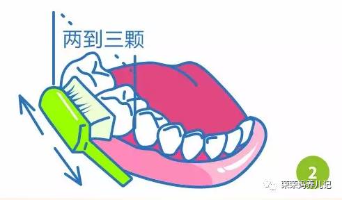 盘点李*荣大**的牙刷军团!其实吧,牙刷并不是重点,怎么刷才是!