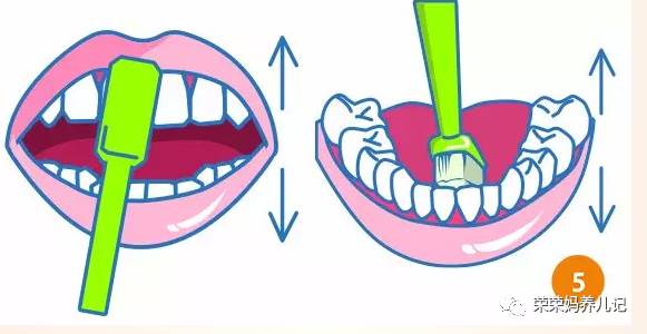 盘点李*荣大**的牙刷军团!其实吧,牙刷并不是重点,怎么刷才是!