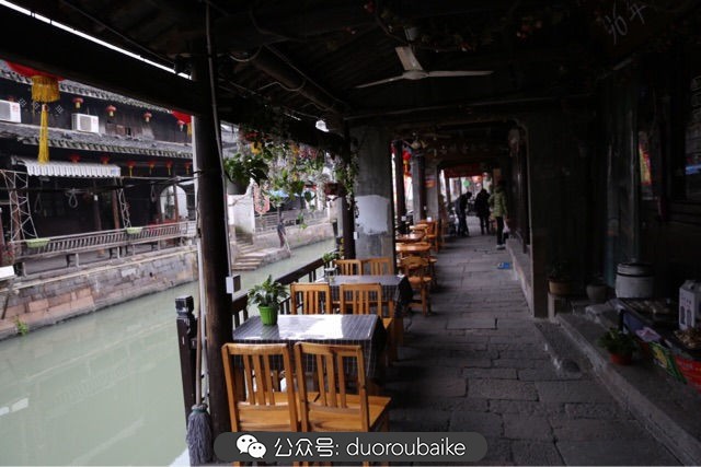 回忆之旅最适合带的植物,野外旅游必须记住的植物