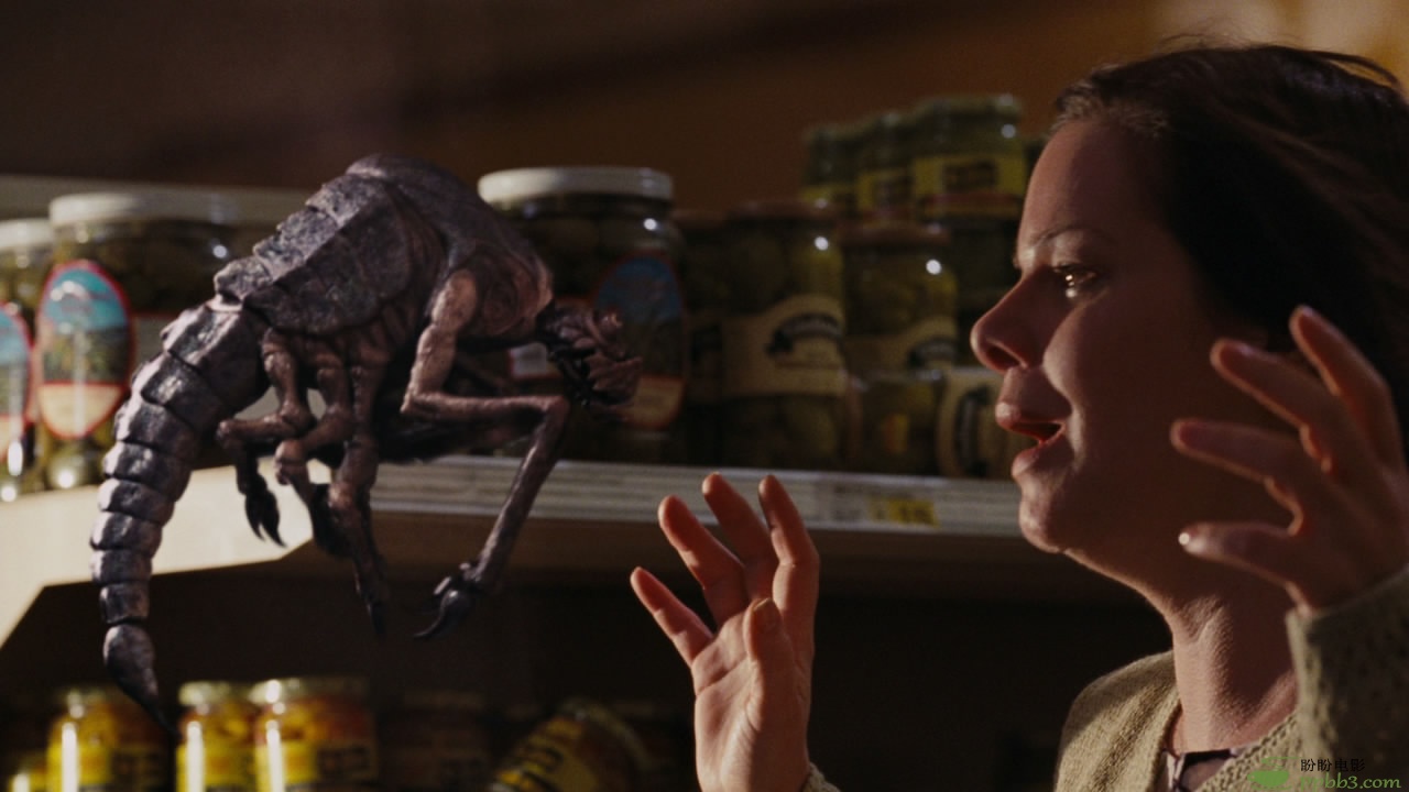 《迷雾》真正恐怖的是——它散去的时候！