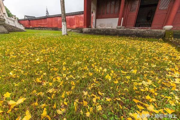 乾隆六下江南去的是哪些地方,徐志摩家乡旅游攻略