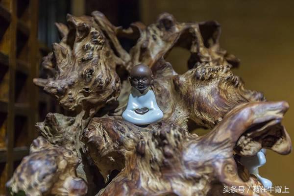 乾隆六下江南去的是哪些地方,徐志摩家乡旅游攻略