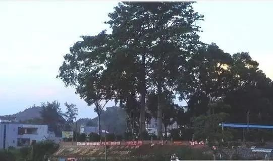 咱们穿越吧最真实的视频,咱们穿越吧魏晋南北朝