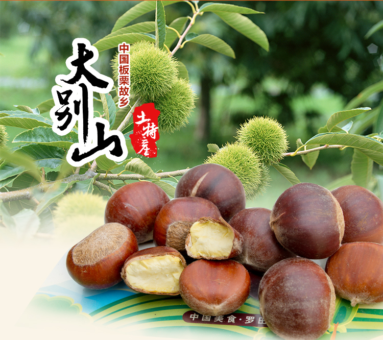 缃楃敯鏉挎牀椋庢櫙瑙嗛,缃楃敯鏉挎牀鍗抽鏉挎牀