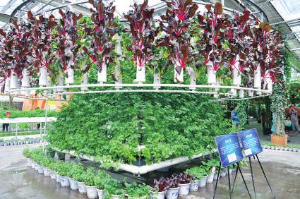 奇!树木会爬墙—智慧农业带你玩转雾培植物墙