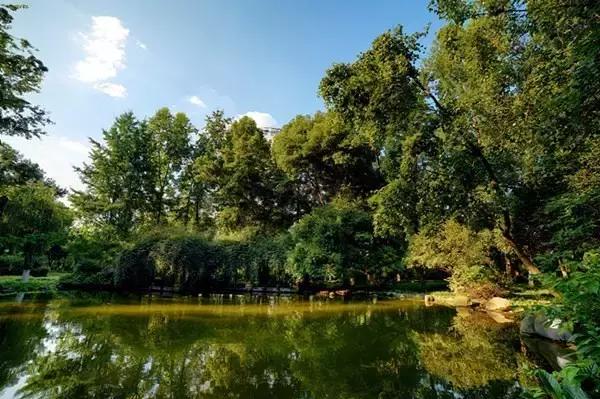 在低密地块上放弃高低配这家开发商在想什么？