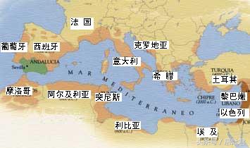 为什么都说橄榄油好,关于橄榄油的一点心得