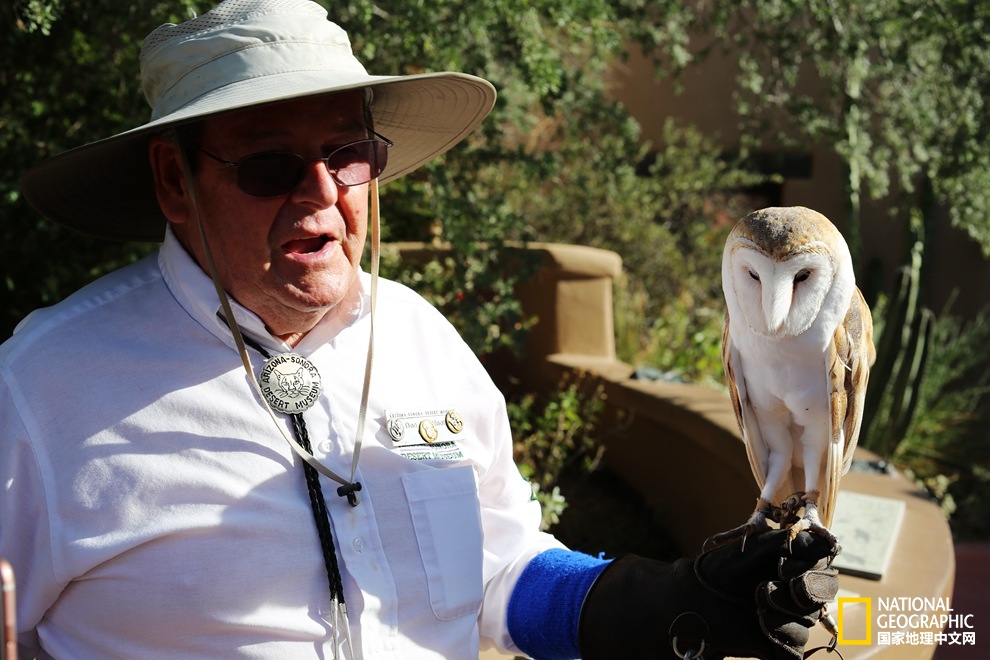 图森仙人掌,图森地理位置