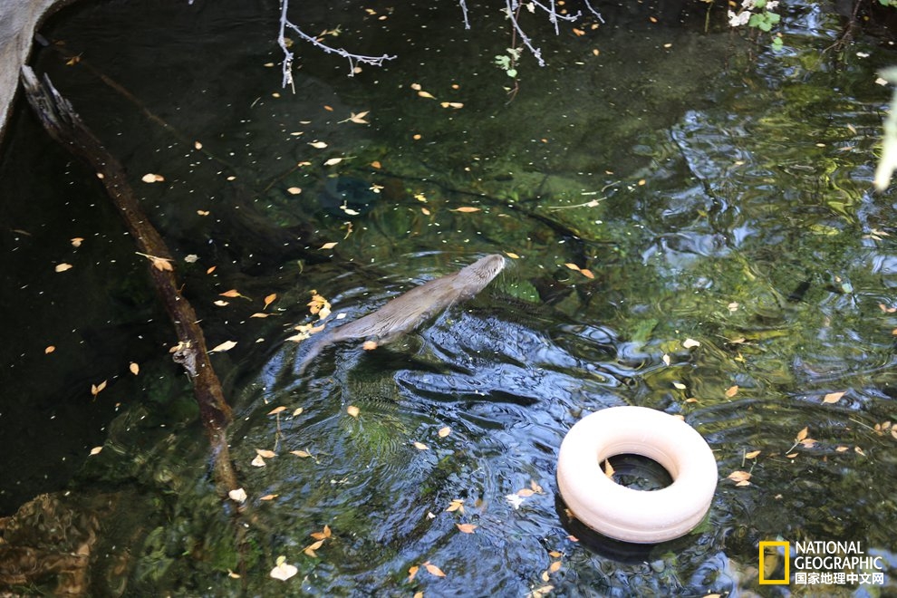 图森仙人掌,图森地理位置