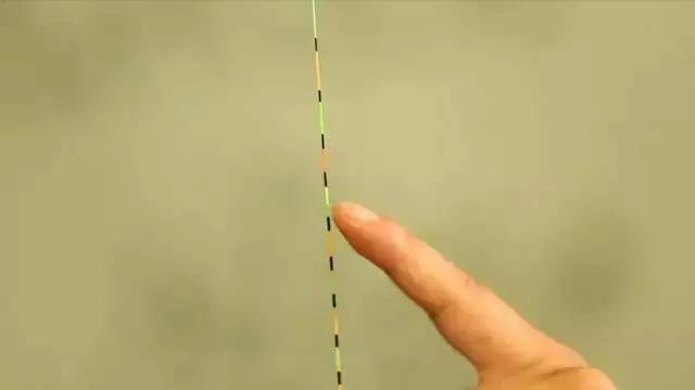 窝里有鱼星不咬钩怎么回事,野钓窝里有鱼星就是没口