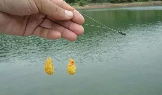 窝里有鱼星不咬钩怎么回事,野钓窝里有鱼星就是没口