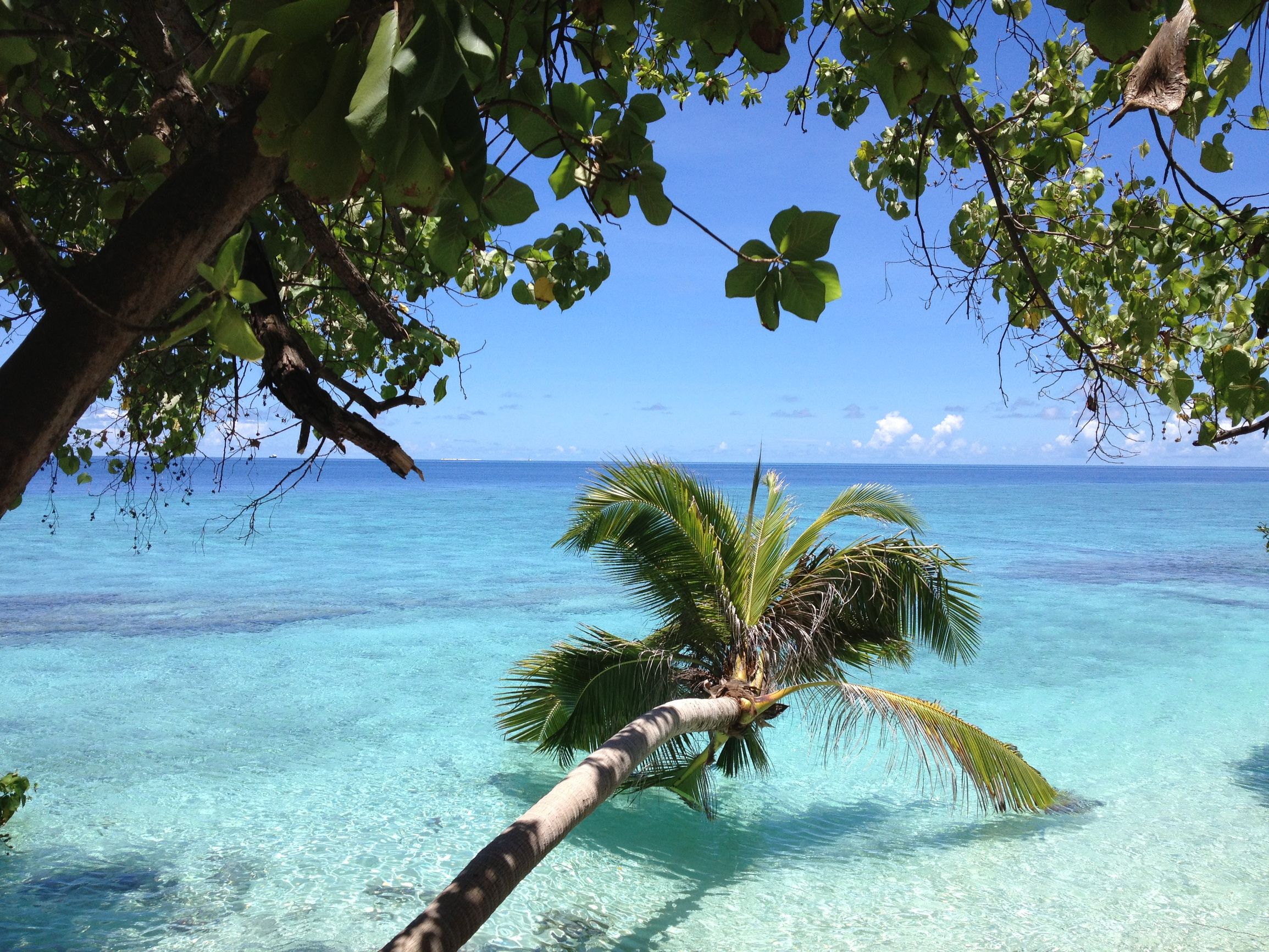 马尔代夫最美景色,最美马尔代夫风景