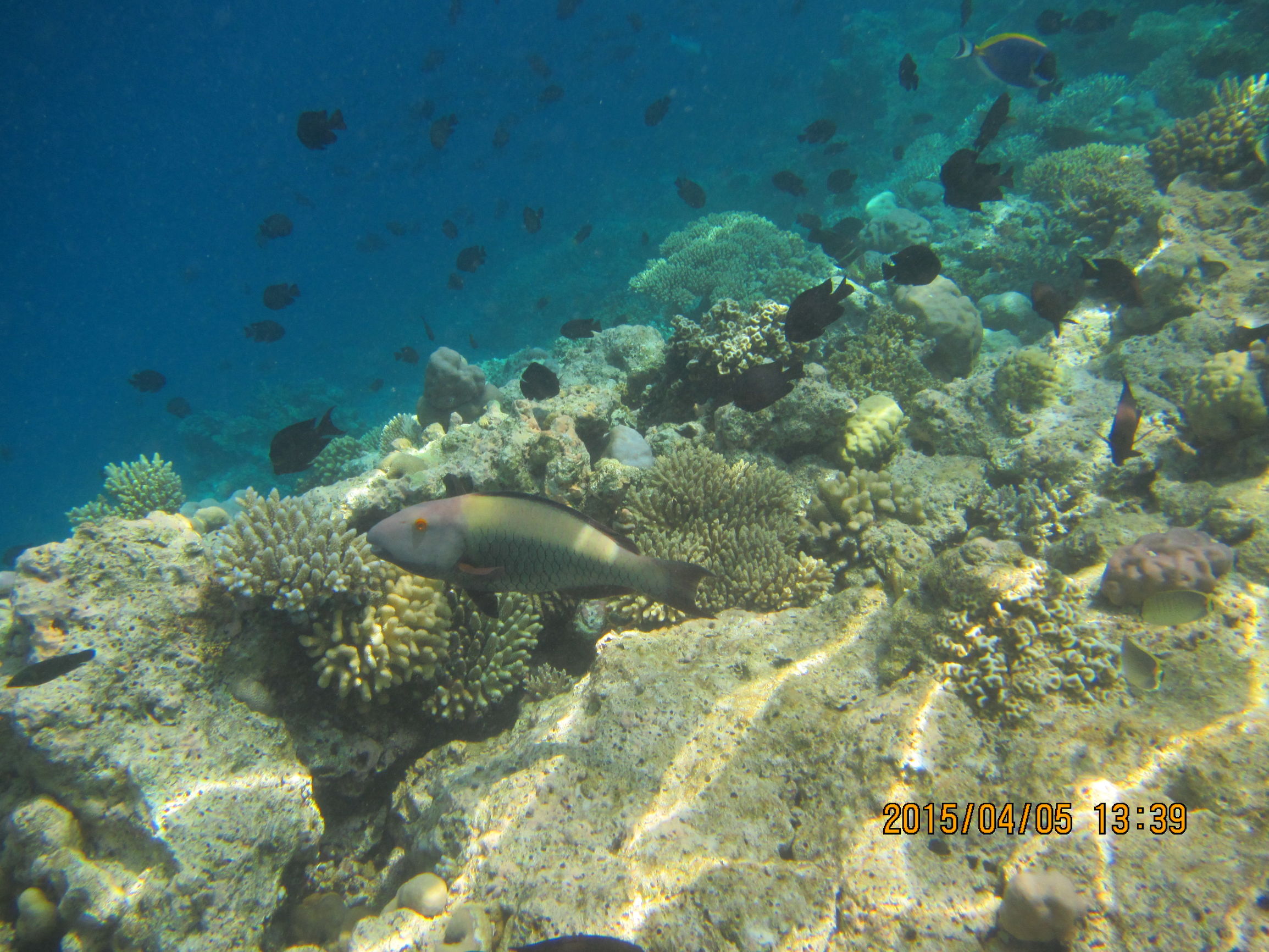 马尔代夫最美景色,最美马尔代夫风景