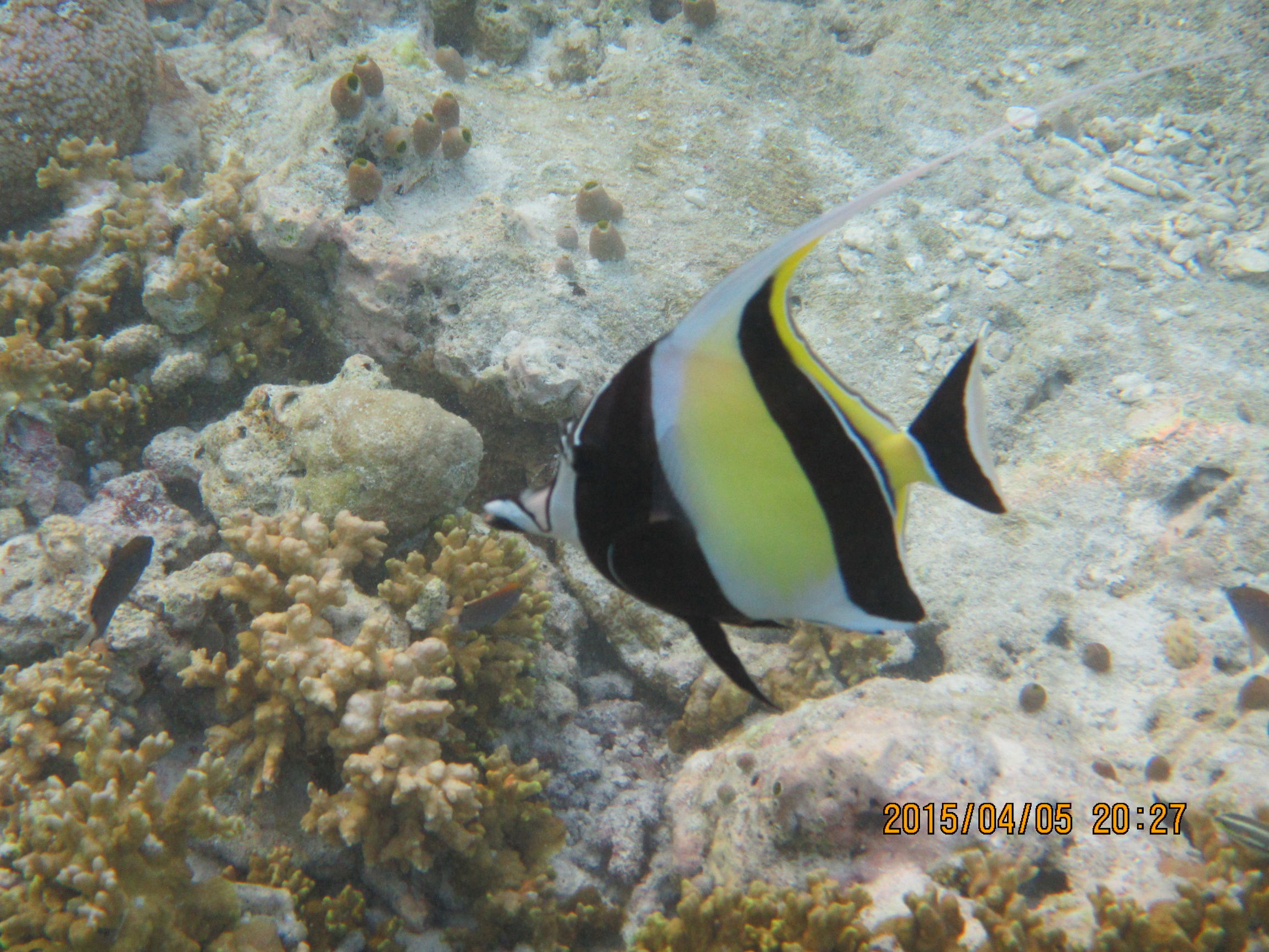 马尔代夫最美景色,最美马尔代夫风景