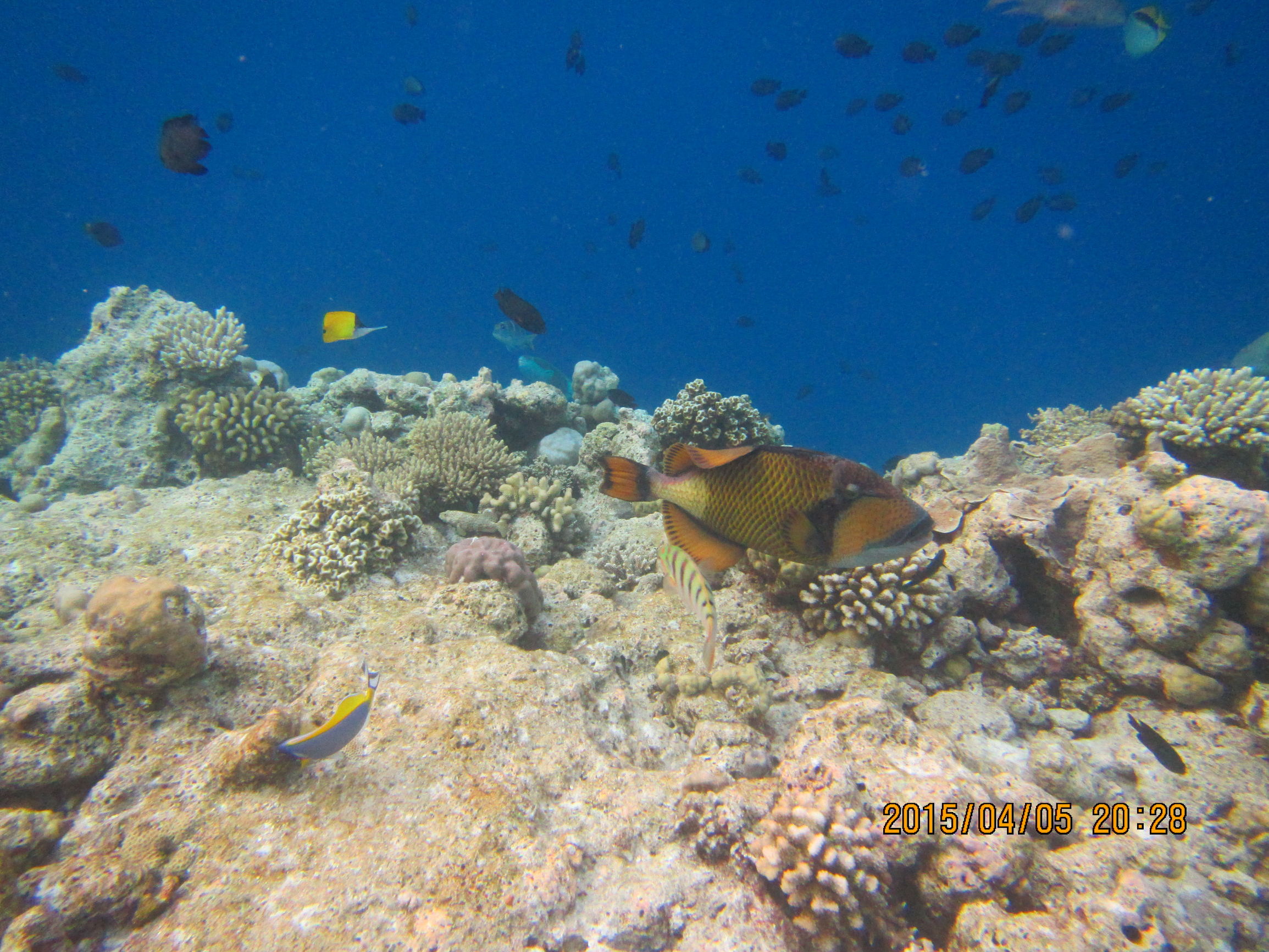 马尔代夫最美景色,最美马尔代夫风景