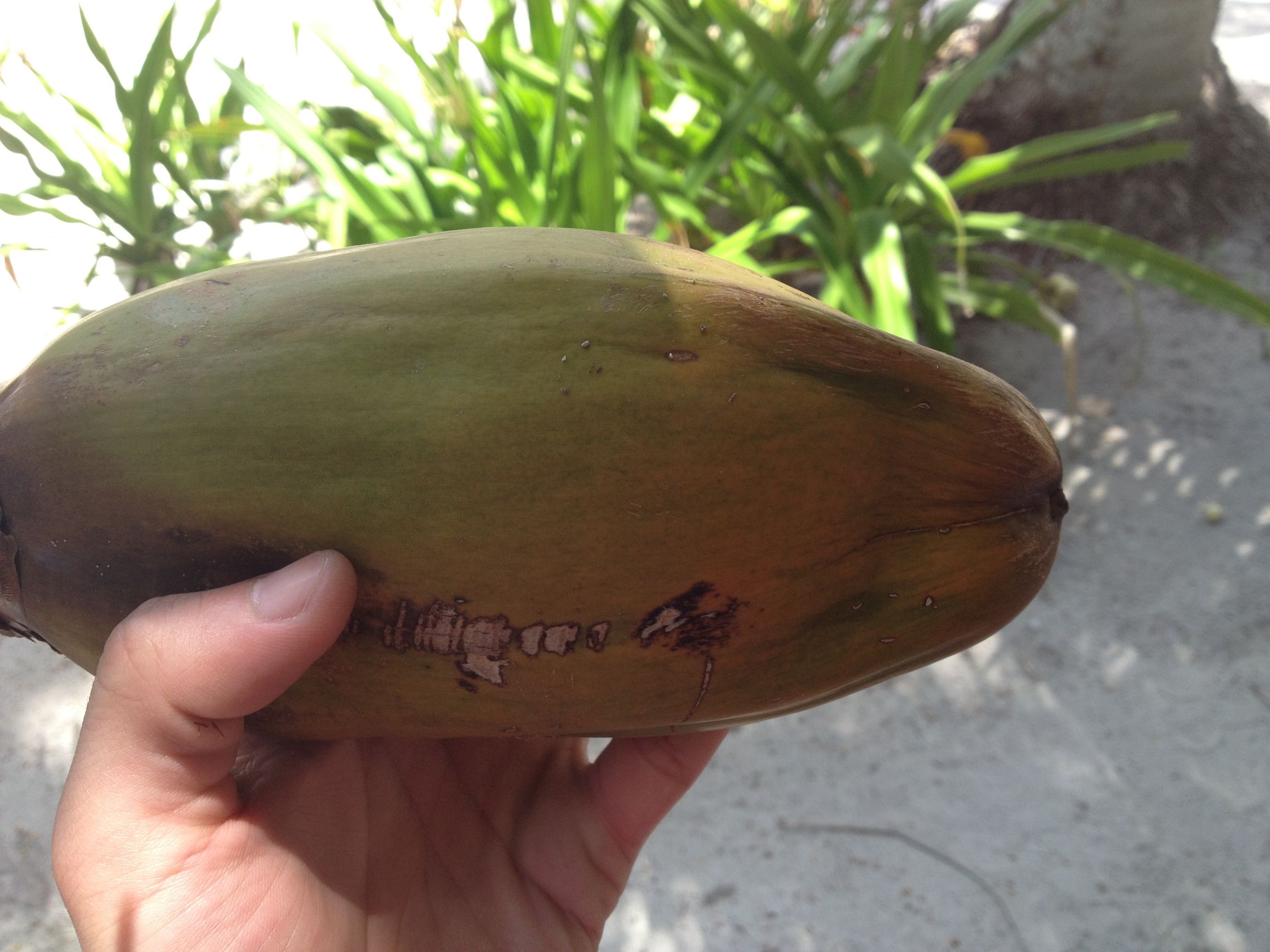 马尔代夫最美景色,最美马尔代夫风景