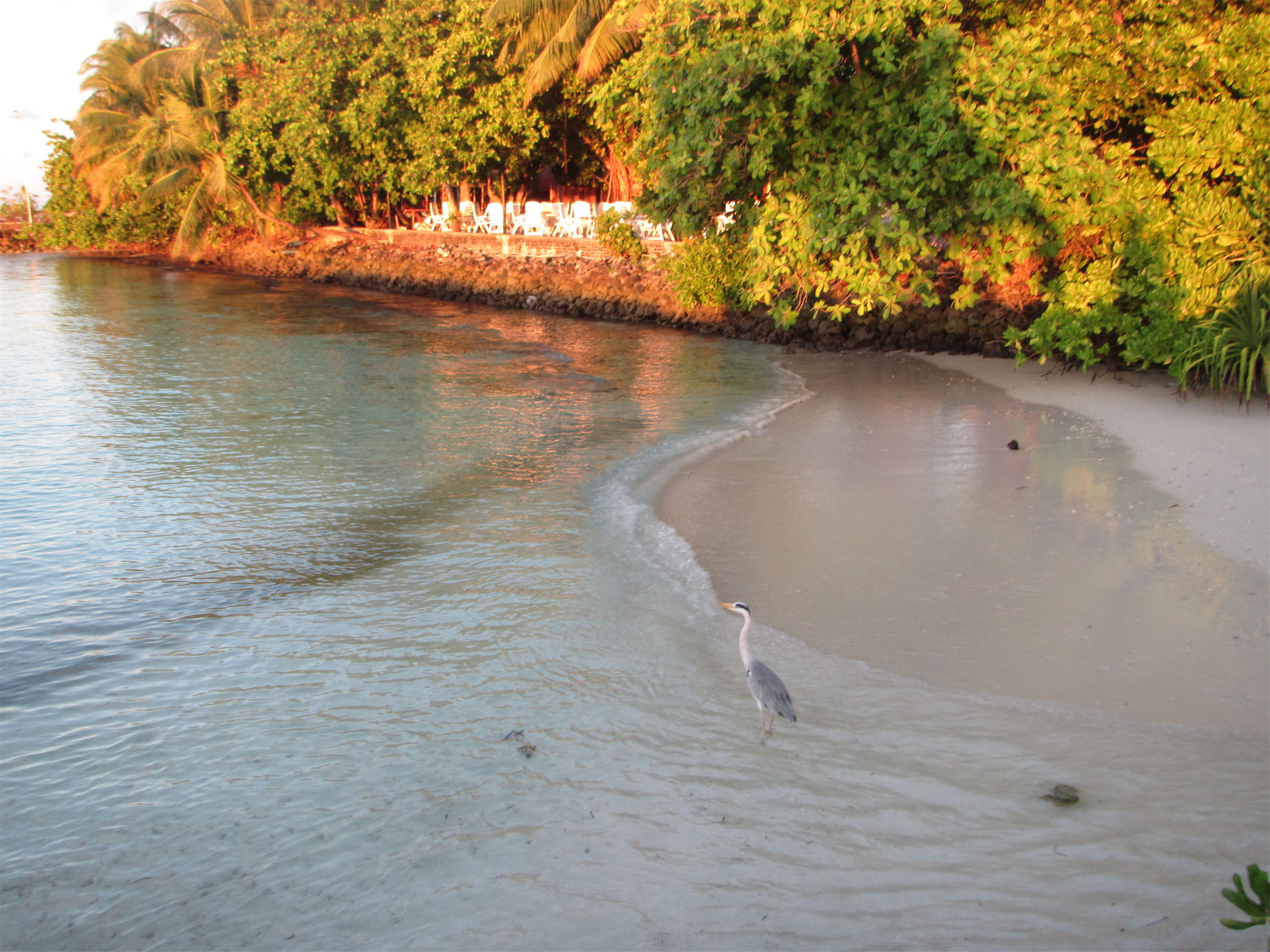 马尔代夫最美景色,最美马尔代夫风景