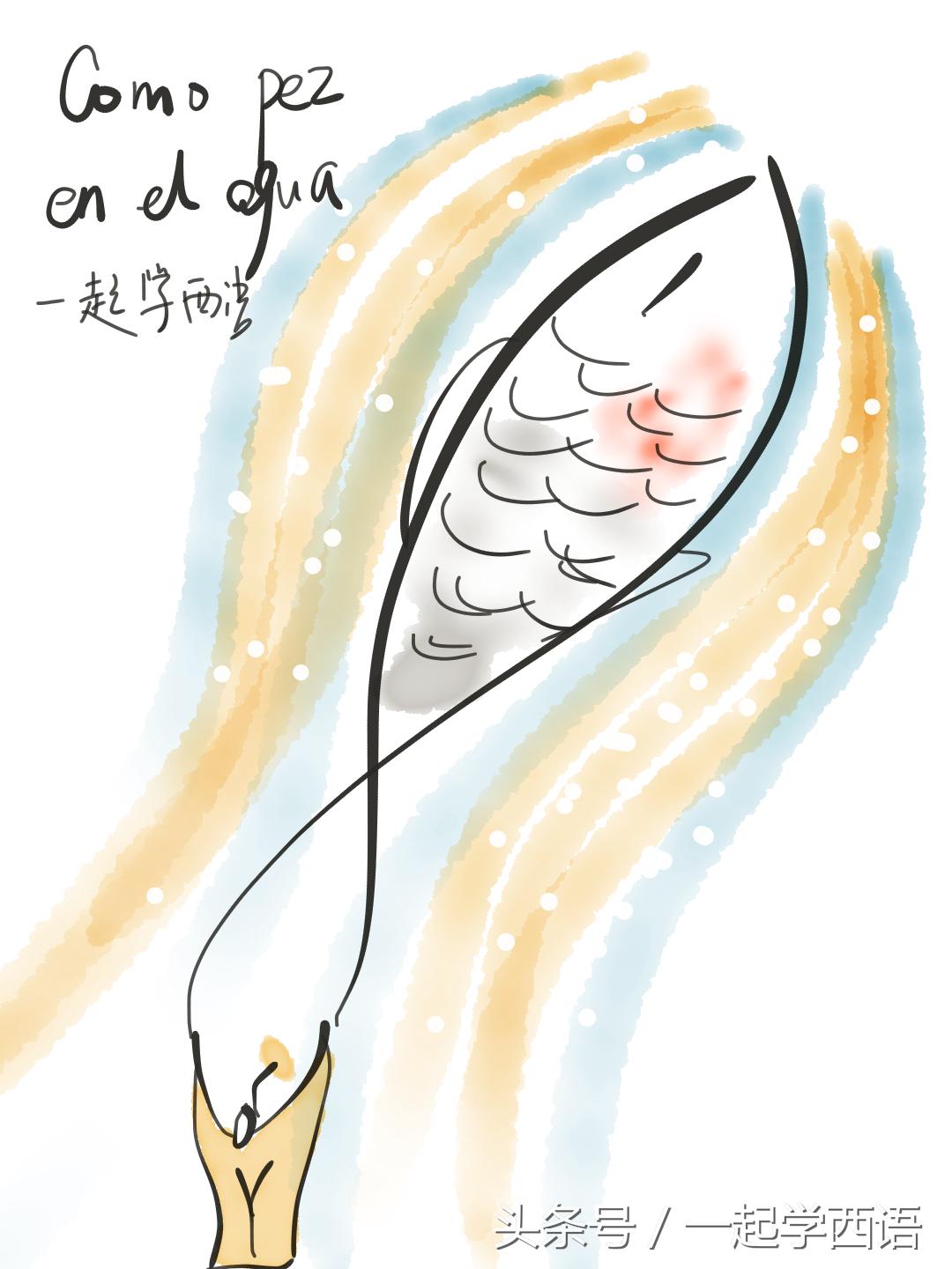 每日西班牙口语,常用西班牙语零基础900句