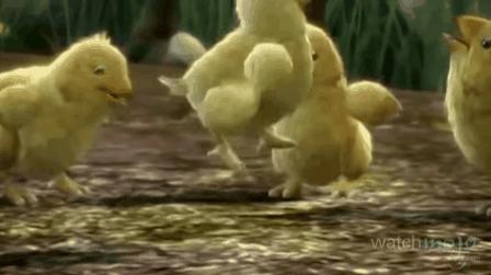 橄榄油味道有一股呛人的味道,橄榄油有股怪味很难吃