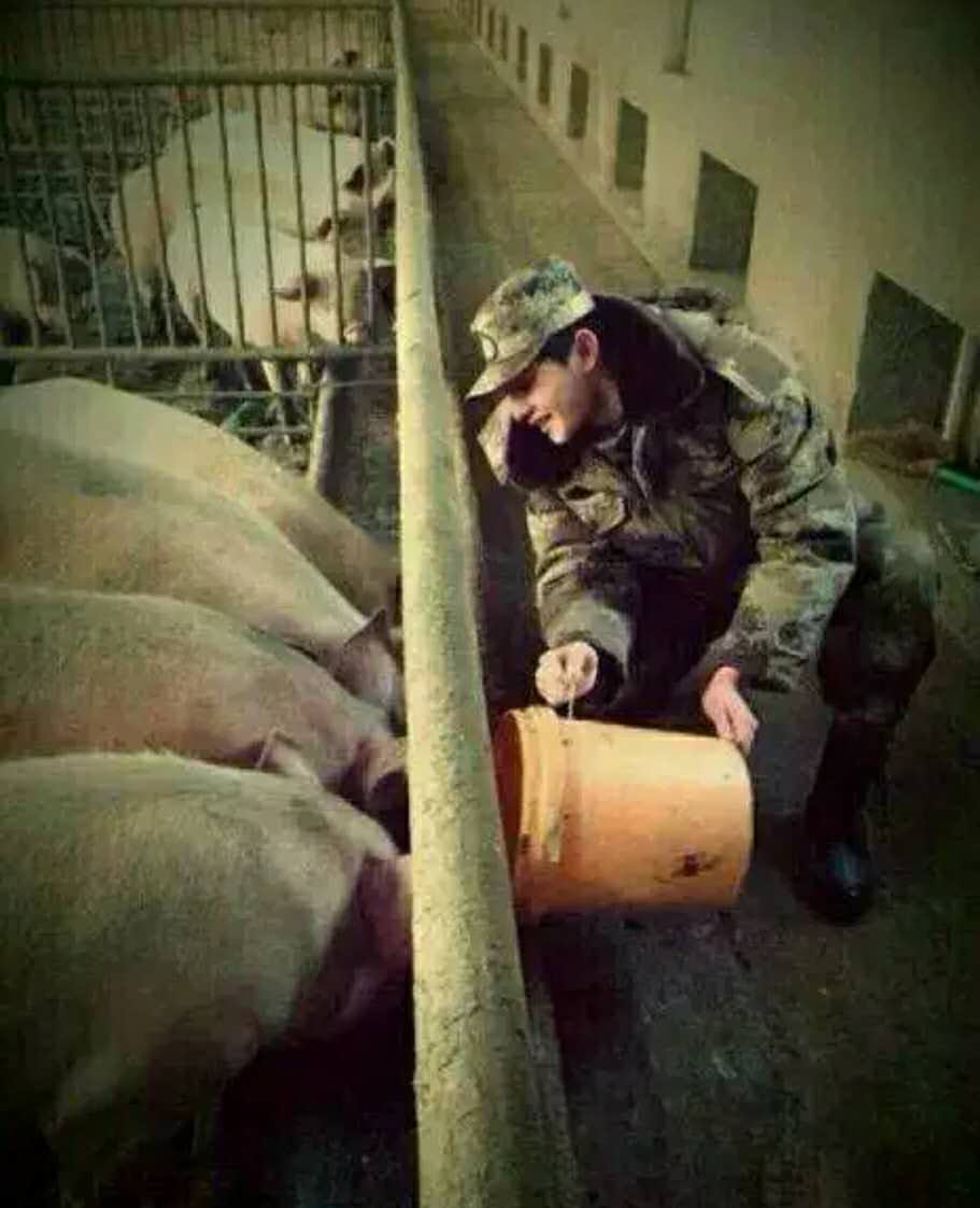 天生桃花眼！前有梁朝伟后有王俊凯，最绝是杨洋对猪的深情凝视~