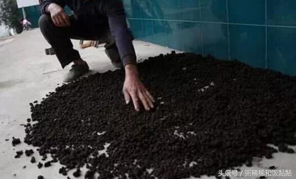 阿三奇闻异录,阿三的神奇事件