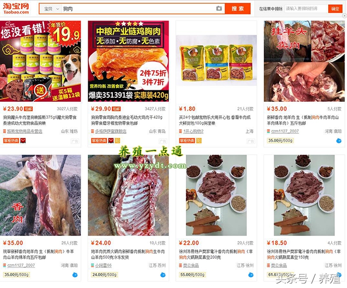 肉狗养殖真实利润与风险测算,养肉狗的风险有哪些