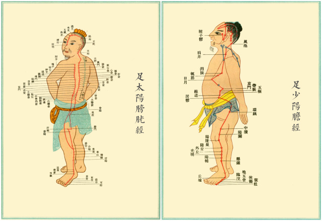 字里藏医,字里藏医全文及解释