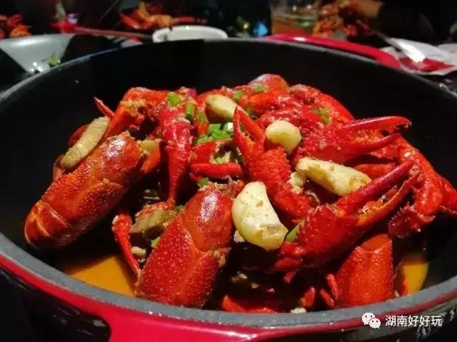 这些明星开的店你都去吃过吗,各大明星开的店