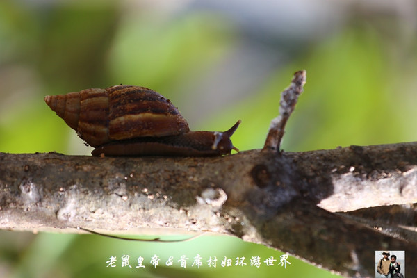 实拍非洲小岛国毛里求斯