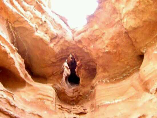 不可思议的十六大奇观,不可思议的六大奇观现象