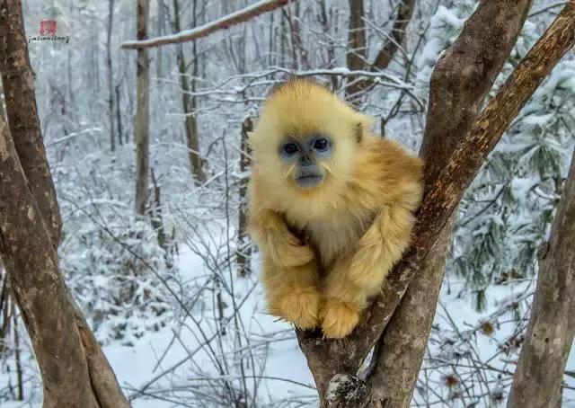 西藏五天旅游路线推荐冬日,冬天西藏3日游最佳路线