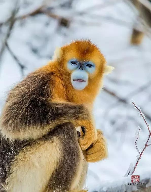 西藏五天旅游路线推荐冬日,冬天西藏3日游最佳路线