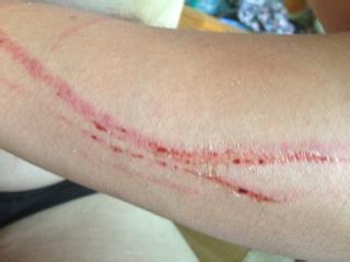 「惊夜鬼事」用血请笔仙许愿，被恶人缠上远走他乡