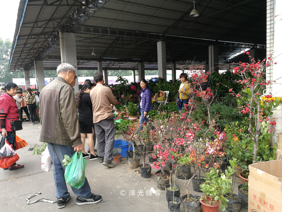 番禺各个镇大集时间表,广州去清远农村赶集