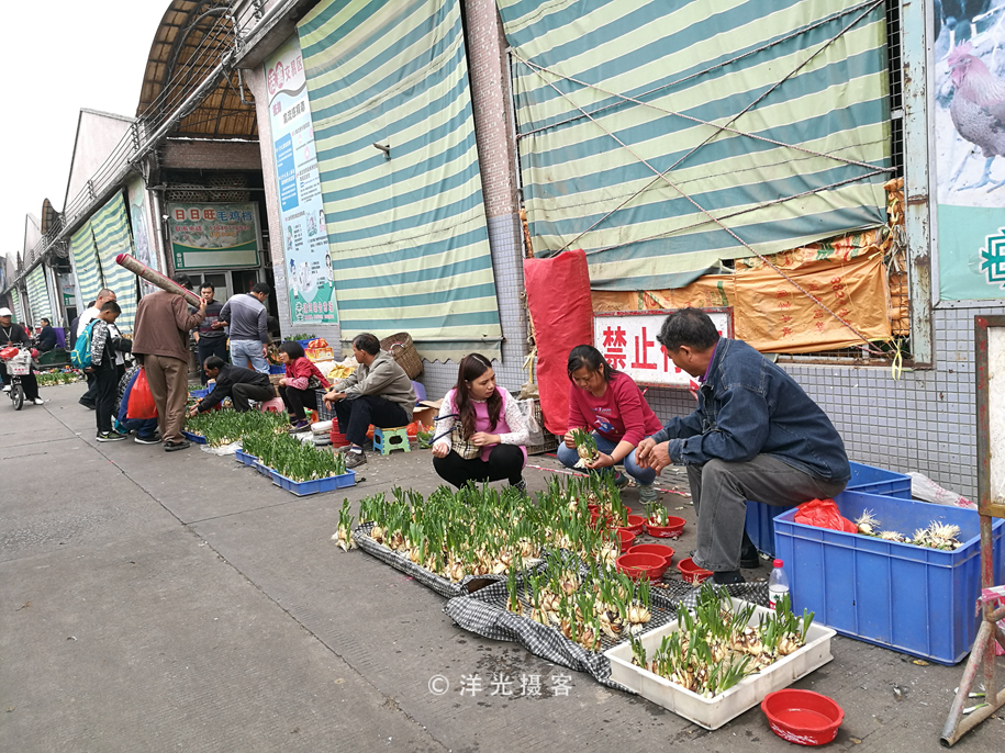 番禺各个镇大集时间表,广州去清远农村赶集