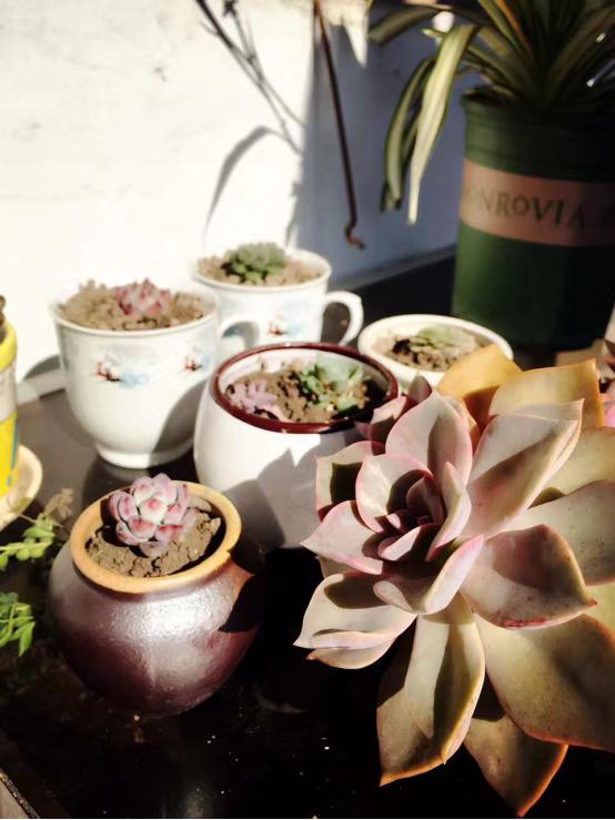 两点一线手作,手作人