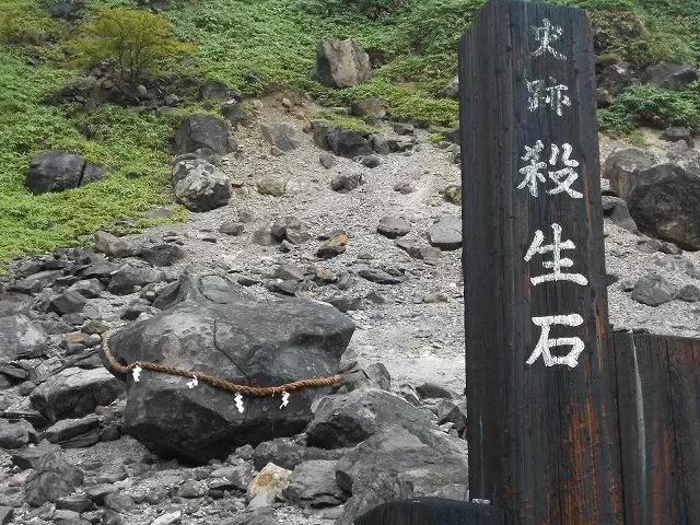 扒一扒网狐与它祖先的那些事儿——当个网红不容易