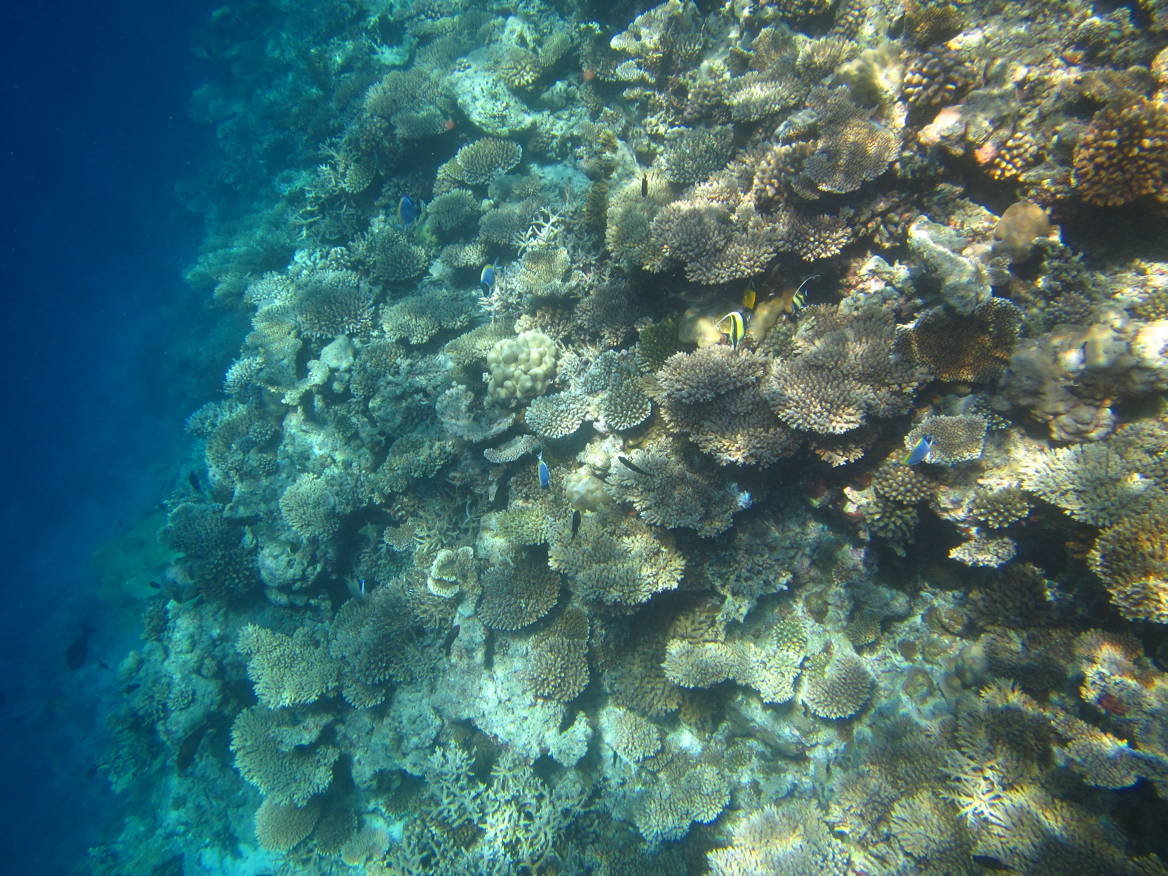 马尔代夫最美景色,最美马尔代夫风景