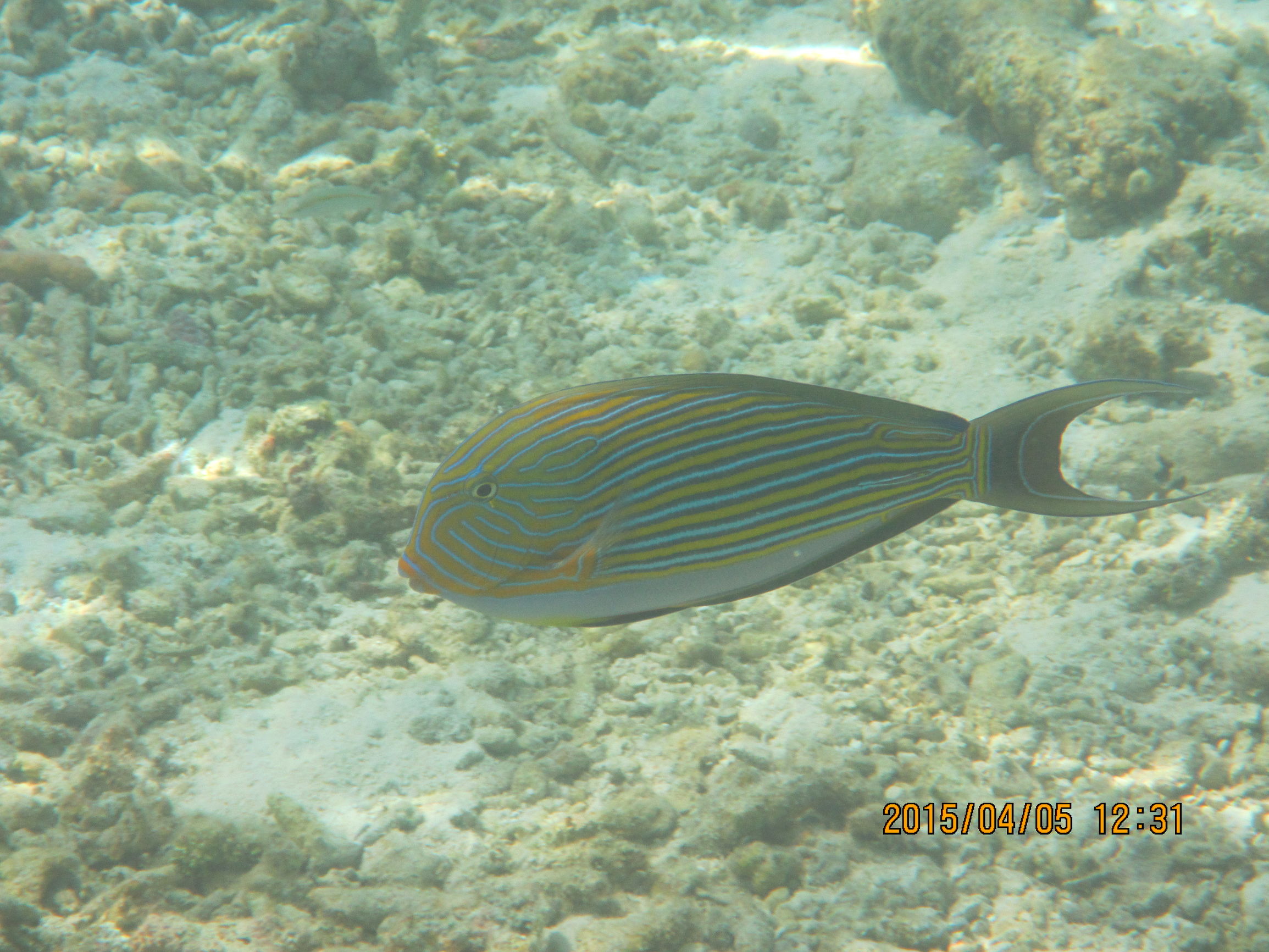 马尔代夫最美景色,最美马尔代夫风景
