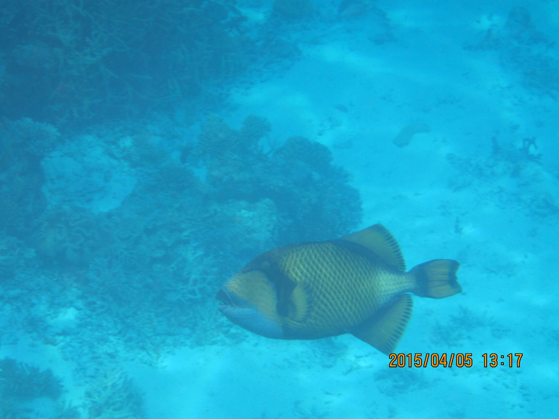 马尔代夫最美景色,最美马尔代夫风景