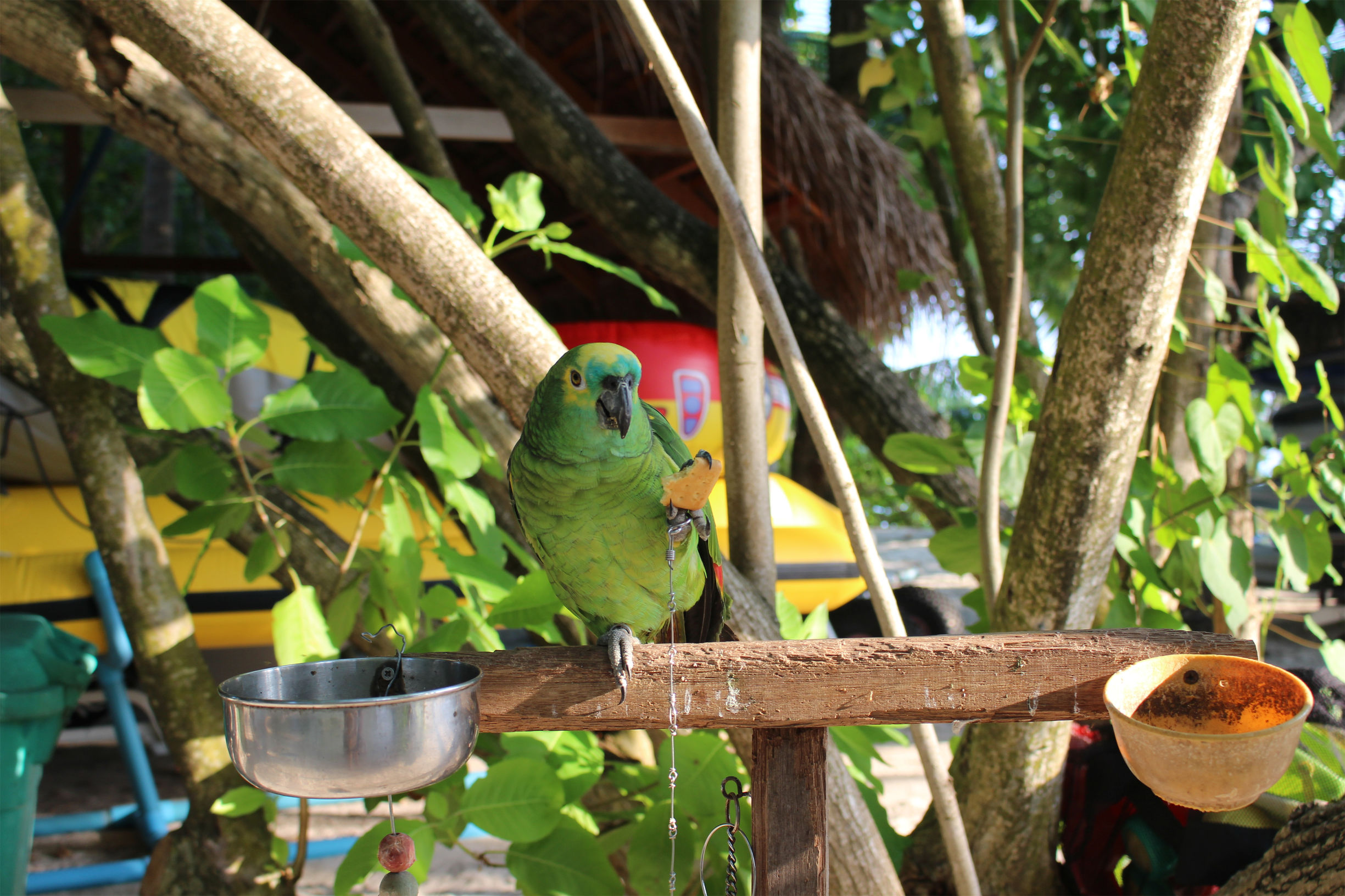 马尔代夫最美景色,最美马尔代夫风景