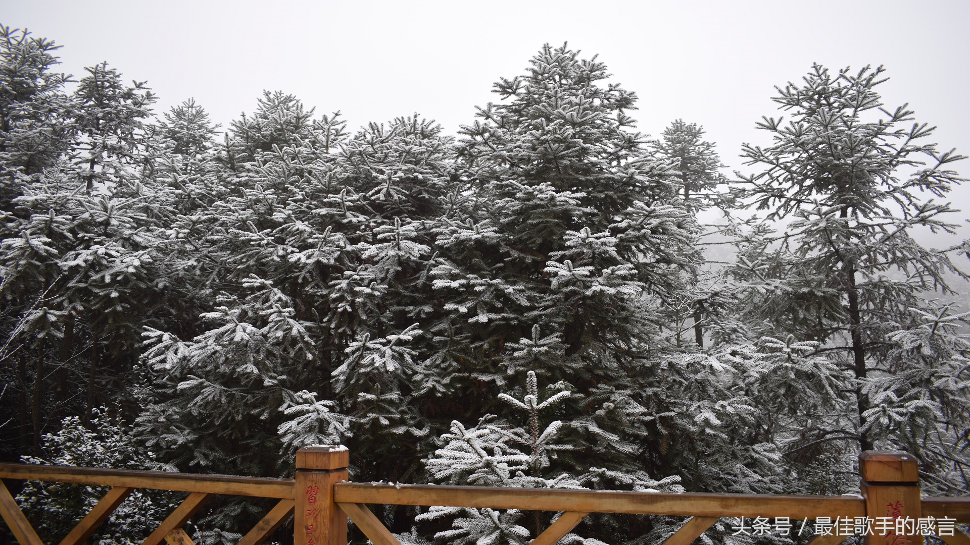 尼康d3300相机推荐新手入门,尼康d3300单反相机入门教程