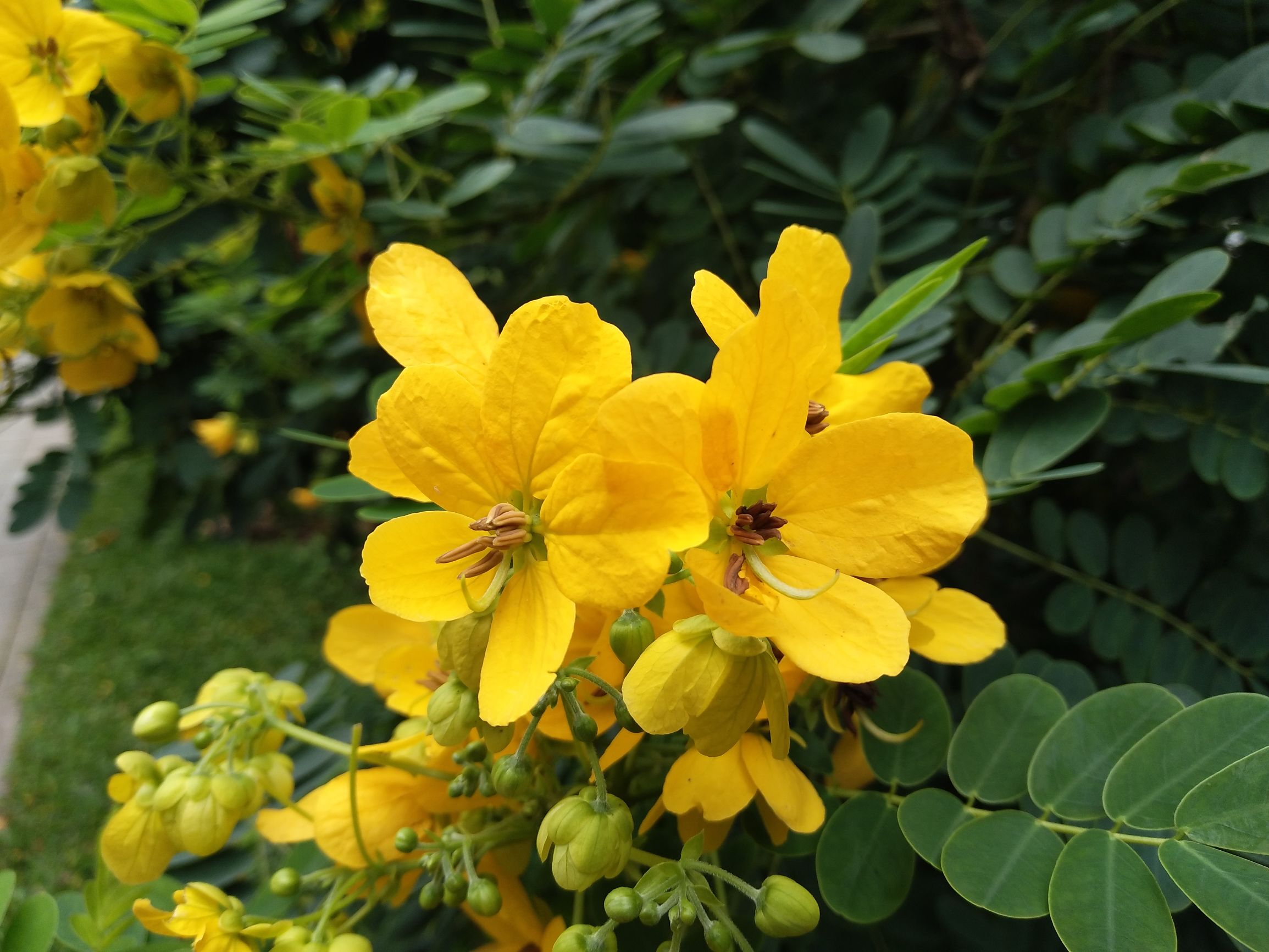 vivox9星空蓝,买vivox90pro十大忠告