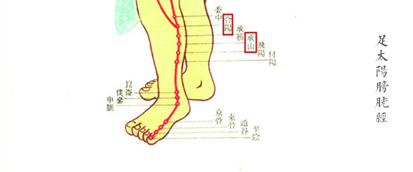 字里藏医,字里藏医全文及解释